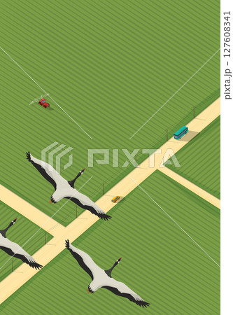 Rural road vector Rural road vector 127608341