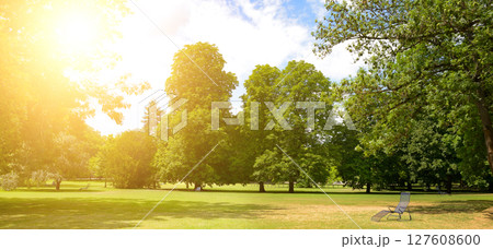Recreation area covered with green grass in beautiful park. 127608600