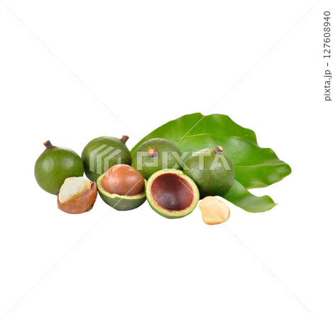 macadamia nut on white background macadamia nut on white background 127608940