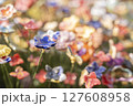 A Beautiful Array of Colorful Blooming Flowers Set in a Lush and Inviting Garden Environment A Beautiful Array of Colorful Blooming Flowers Set in a Lush and Inviting Garden Environment 127608958