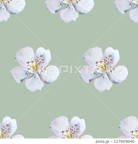 Seamless pattern with white flowers. Hand-drawn illustration on green background 127609040
