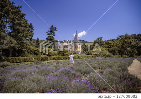 A woman stands in a field of lavender A woman stands in a field of lavender 127609082