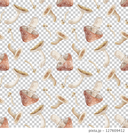 Pattern of watercolor mushrooms, fly agaric, toadstool. Illustration of autumn harvest is hand drawn. Seamless print on isolated background for design textiles, fabrics, wallpaper, packaging, clothes Pattern of watercolor mushrooms, fly agaric, toadstool. Illustration of autumn harvest is hand drawn. Seamless print on isolated background for design textiles, fabrics, wallpaper, packaging, clothes 127609412
