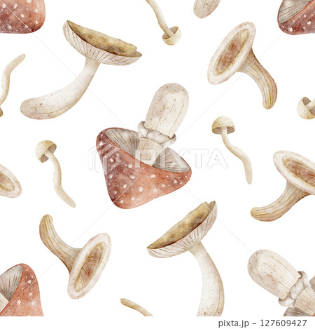 Pattern of watercolor mushrooms, fly agaric, toadstool. Illustration of autumn harvest is hand drawn. Seamless print on isolated background for design textiles, fabrics, wallpaper, packaging, clothes Pattern of watercolor mushrooms, fly agaric, toadstool. Illustration of autumn harvest is hand drawn. Seamless print on isolated background for design textiles, fabrics, wallpaper, packaging, clothes 127609427