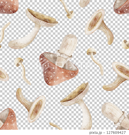 Pattern of watercolor mushrooms, fly agaric, toadstool. Illustration of autumn harvest is hand drawn. Seamless print on isolated background for design textiles, fabrics, wallpaper, packaging, clothes Pattern of watercolor mushrooms, fly agaric, toadstool. Illustration of autumn harvest is hand drawn. Seamless print on isolated background for design textiles, fabrics, wallpaper, packaging, clothes 127609427