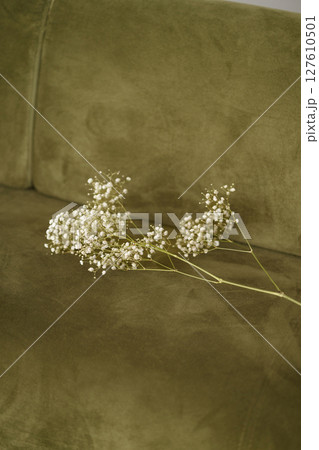 White baby's breath flowers on green suede sofa in natural light 127610501