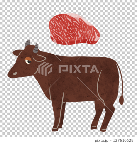 肉牛と霜降りの牛肉 水彩風手描きイラスト 肉牛と霜降りの牛肉 水彩風手描きイラスト 127610529