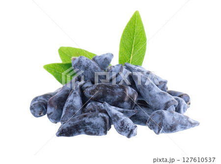 Honeysuckle berry isolated on white background. Fresh honeysuckle blue berry fruits with green leaves. Clipping path. 127610537