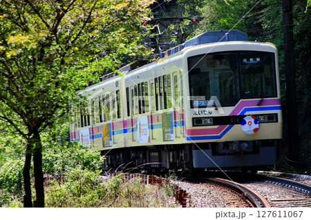 『鞍馬・貴船』『比叡山』への鉄路… 登山鉄道の趣もある【叡山電鉄】800系 127611067