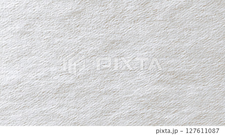 白い和紙風テクスチャのシンプルな背景素材 白い和紙風テクスチャのシンプルな背景素材 127611087