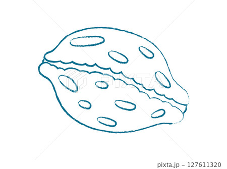 Chalk crayon seashell shape. Unique seashell form in doodle style. Underwater marine creature, graphic texture, potential for summer themes or aquatic designs. 127611320