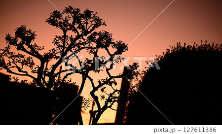 夕焼け空 夕焼け空 127611386