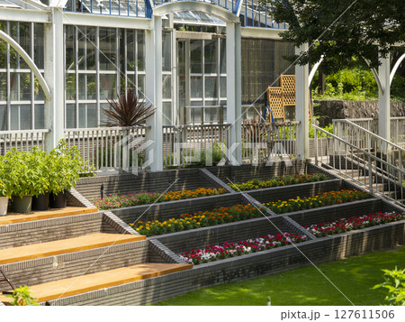 花が咲く植物園の風景 127611506