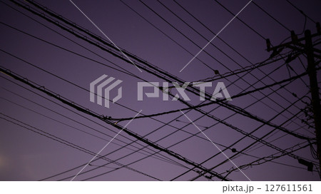 夕暮れの空と無数の電線 127611561