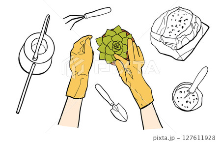 Hands of a person in gloves replanting a succulent houseplant in a pot Hands of a person in gloves replanting a succulent houseplant in a pot 127611928