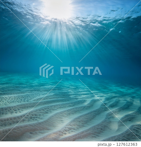 海中から見上げた太陽 127612363