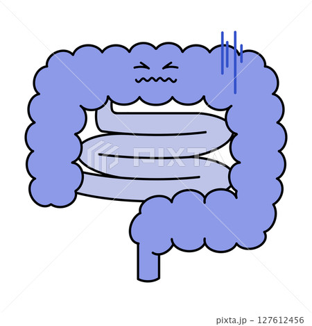 不健康な腸のイラスト 不健康な腸のイラスト 127612456