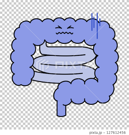 不健康な腸のイラスト 不健康な腸のイラスト 127612456