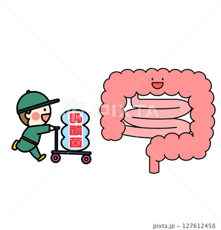 生きて腸まで届く乳酸菌のイラスト 127612458