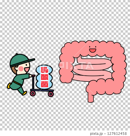 生きて腸まで届く乳酸菌のイラスト 127612458