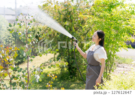 庭に水撒きをする女性 127612647