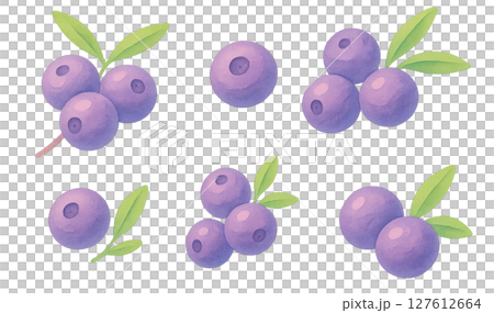 アサイーベリーの水彩イラスト 透過PNG 果実素材 127612664