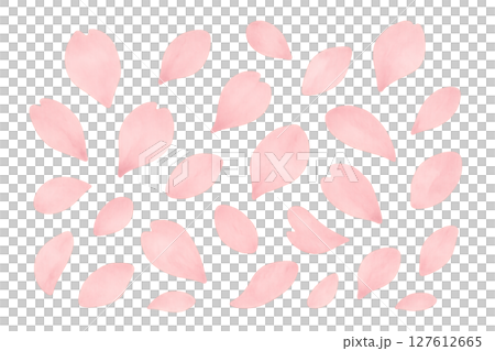 桜の花びらの水彩イラスト 透過PNG 春の装飾素材 桜の花びらの水彩イラスト 透過PNG 春の装飾素材 127612665