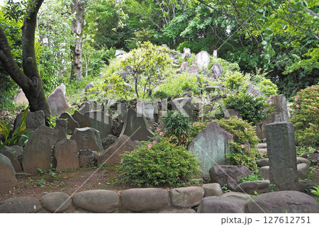 護国寺の富士塚（音羽富士）【東京都文京区】 127612751