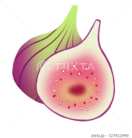 いちじく 127612940