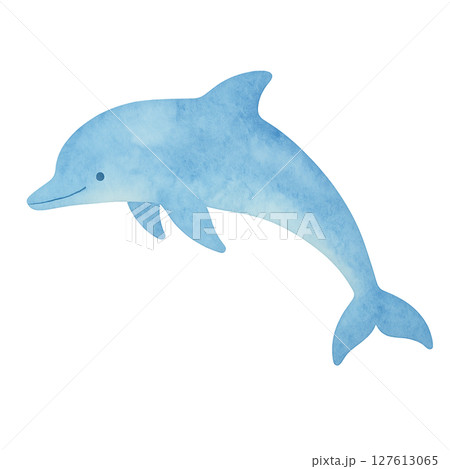 イルカ 絵 イルカ 絵 イルカ 絵
