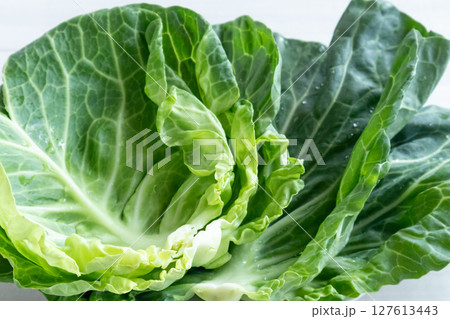 キャベツの外葉 127613443