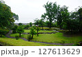 仙厳園　園内 127613629