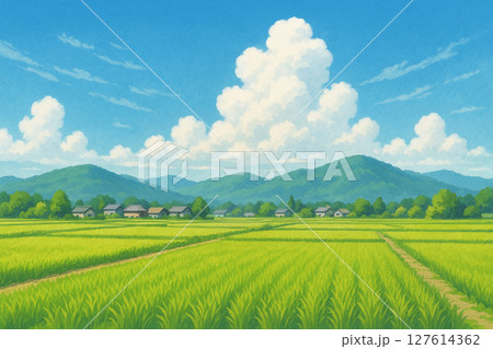 夏の青空と田んぼ 夏の青空と田んぼ 127614362