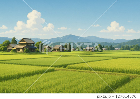 夏の田んぼと茅葺屋根 127614370