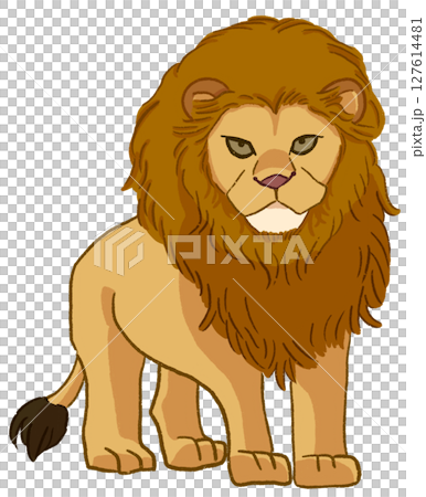 lion 127614481