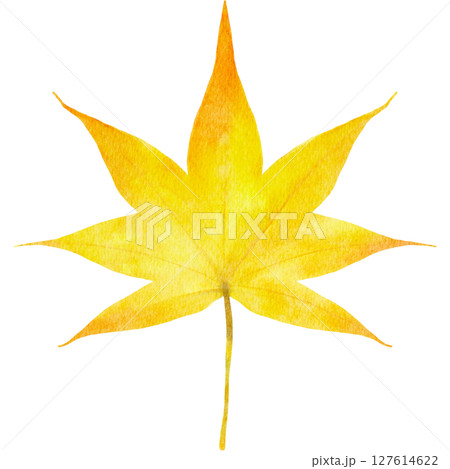 紅葉　モミジの葉　水彩　秋　イラスト 127614622