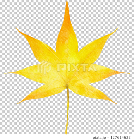 紅葉　モミジの葉　水彩　秋　イラスト 127614622