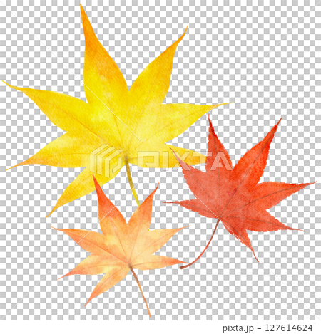 秋葉，楓葉，水彩，秋天，插圖 127614624