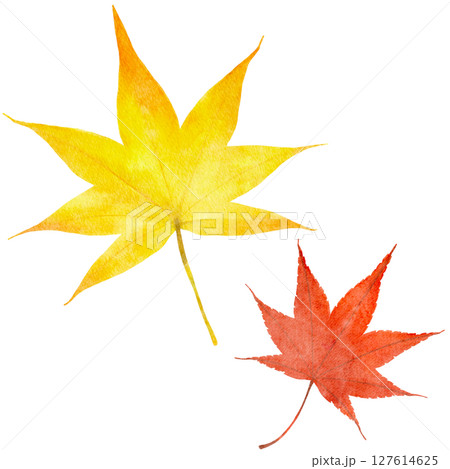 紅葉 モミジの葉 水彩 秋 イラスト 紅葉 モミジの葉 水彩 秋 イラスト 127614625