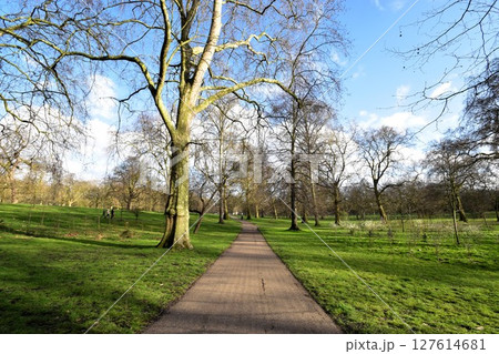 ヨーロッパ・イギリスの昼下がりの晴れた公園 127614681