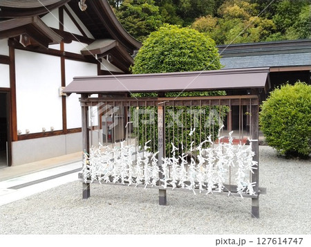歴史ある橿原神宮の参道　奈良県橿原神宮 127614747