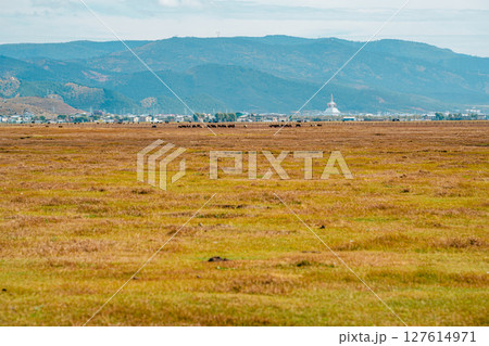 Shangri-la Landscape with Stupa and Snow-Capped Mountains Shangri-la Landscape with Stupa and Snow-Capped Mountains 127614971