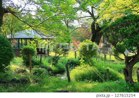 横手公園の景観 127615254