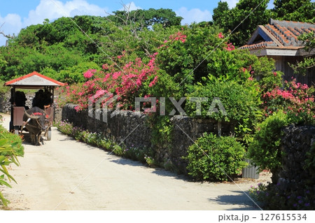 竹富島の民家と水牛車 127615534