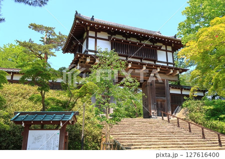 千秋公園の景観 千秋公園の景観 127616400