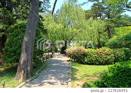 千秋公園の景観 127616455