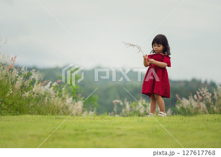 toddler girl in red dress playing grass flower in field toddler girl in red dress playing grass flower in field 127617768