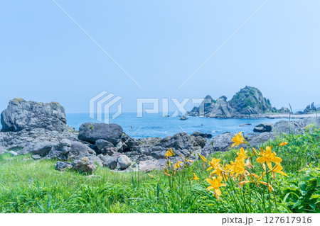 「青森県」渚に花咲く初夏の種差海岸・八戸市 「青森県」渚に花咲く初夏の種差海岸・八戸市 127617916