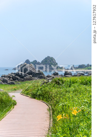 「青森県」渚に花咲く初夏の種差海岸・八戸市 「青森県」渚に花咲く初夏の種差海岸・八戸市 127617932
