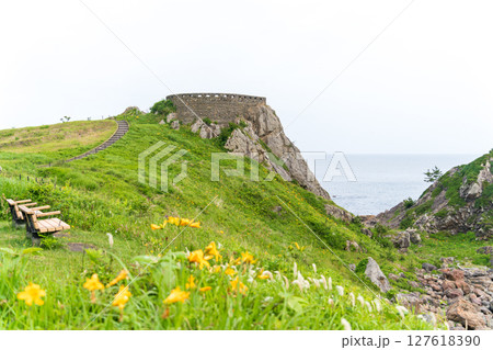 「青森県」初夏の花咲く葦毛崎の風景・種差海岸 127618390